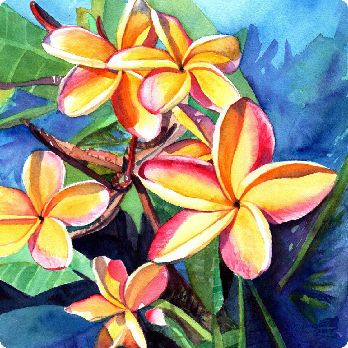 Plumeria Coaster