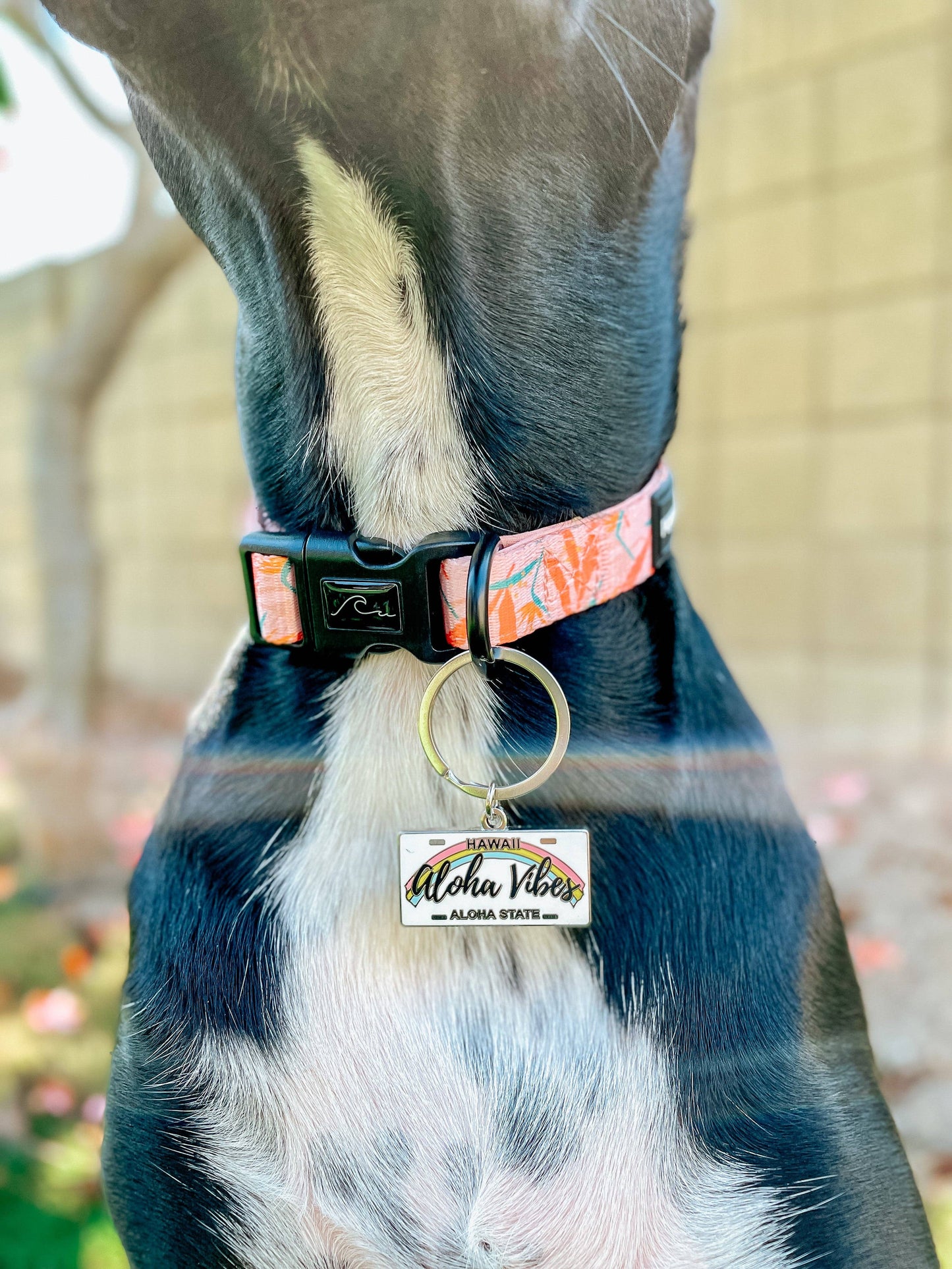 Floral Print Collar