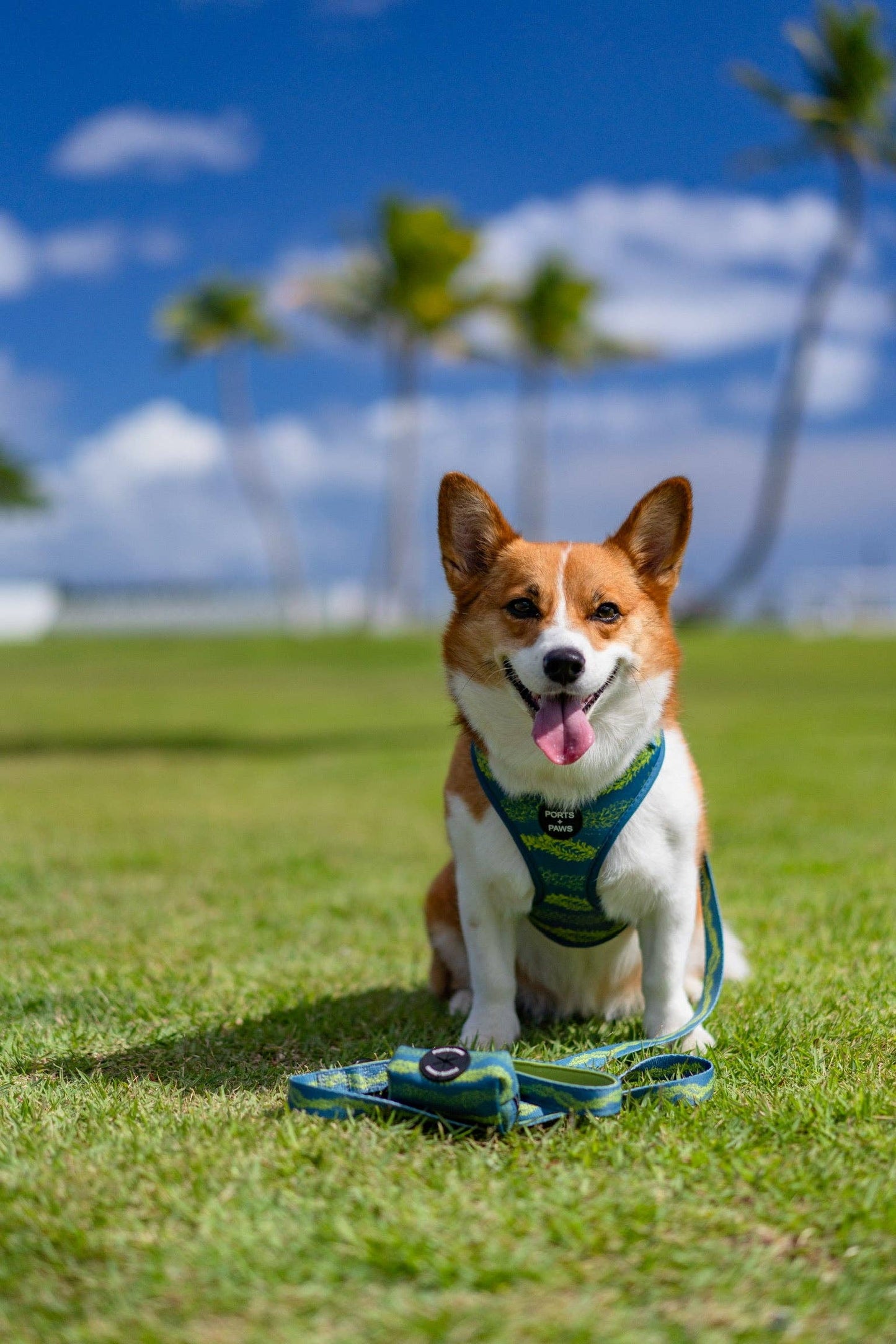 Poop Bag Holder-Pakalana