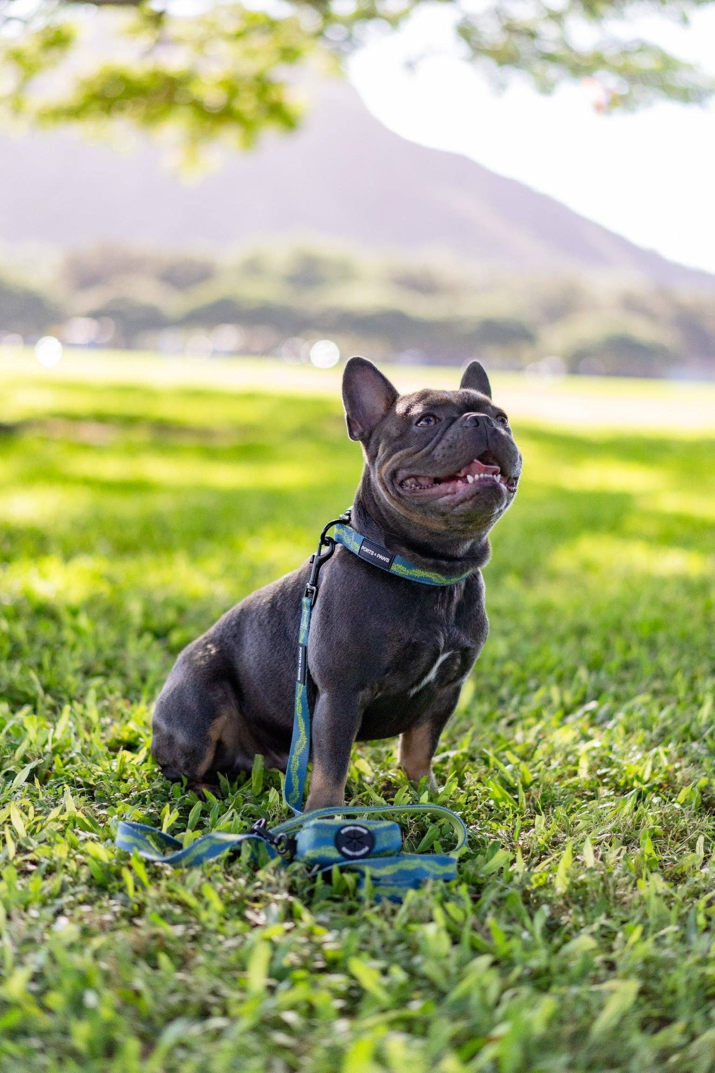 Poop Bag Holder-Pakalana