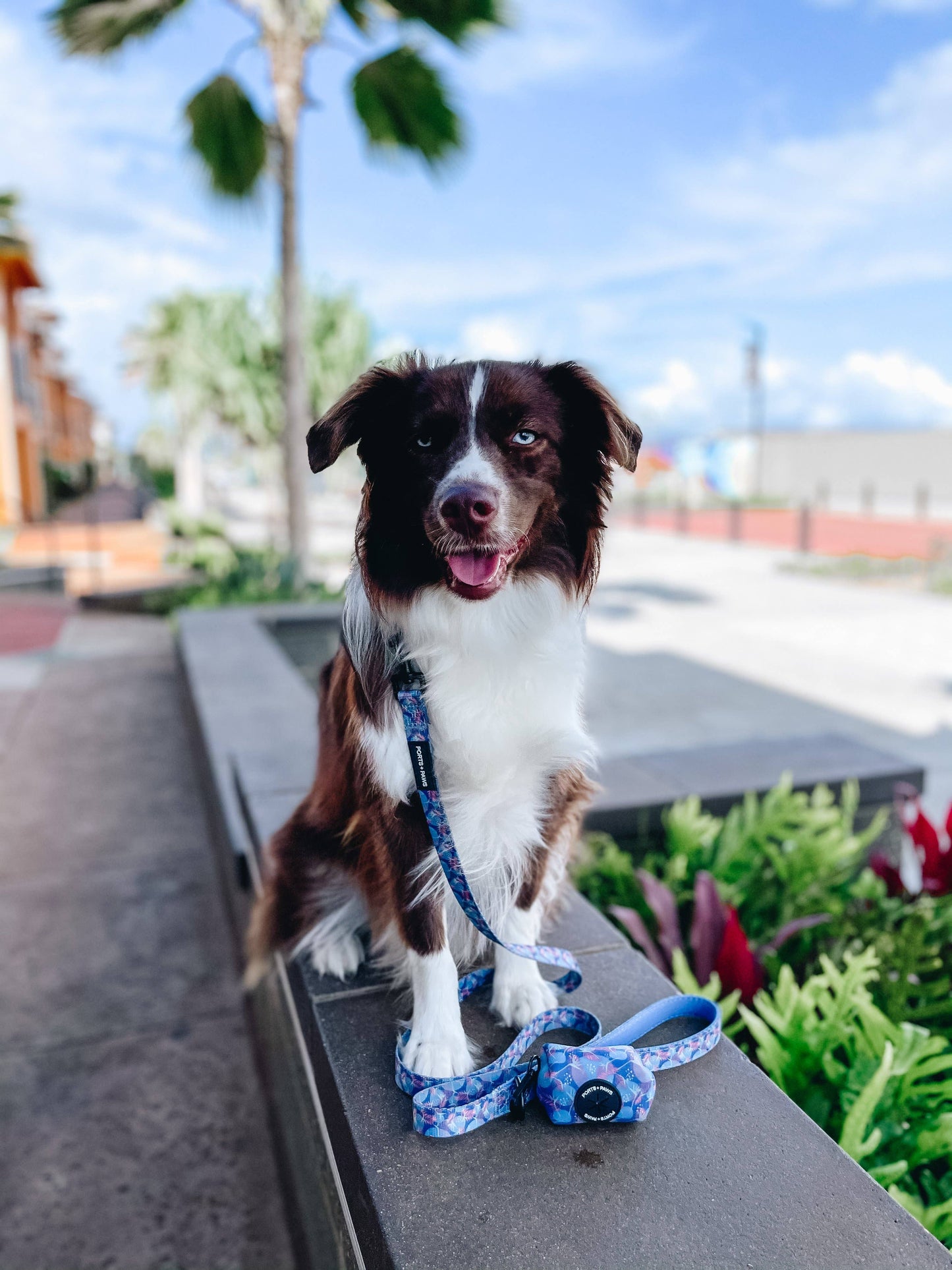 Poop Bag Holder-Porter