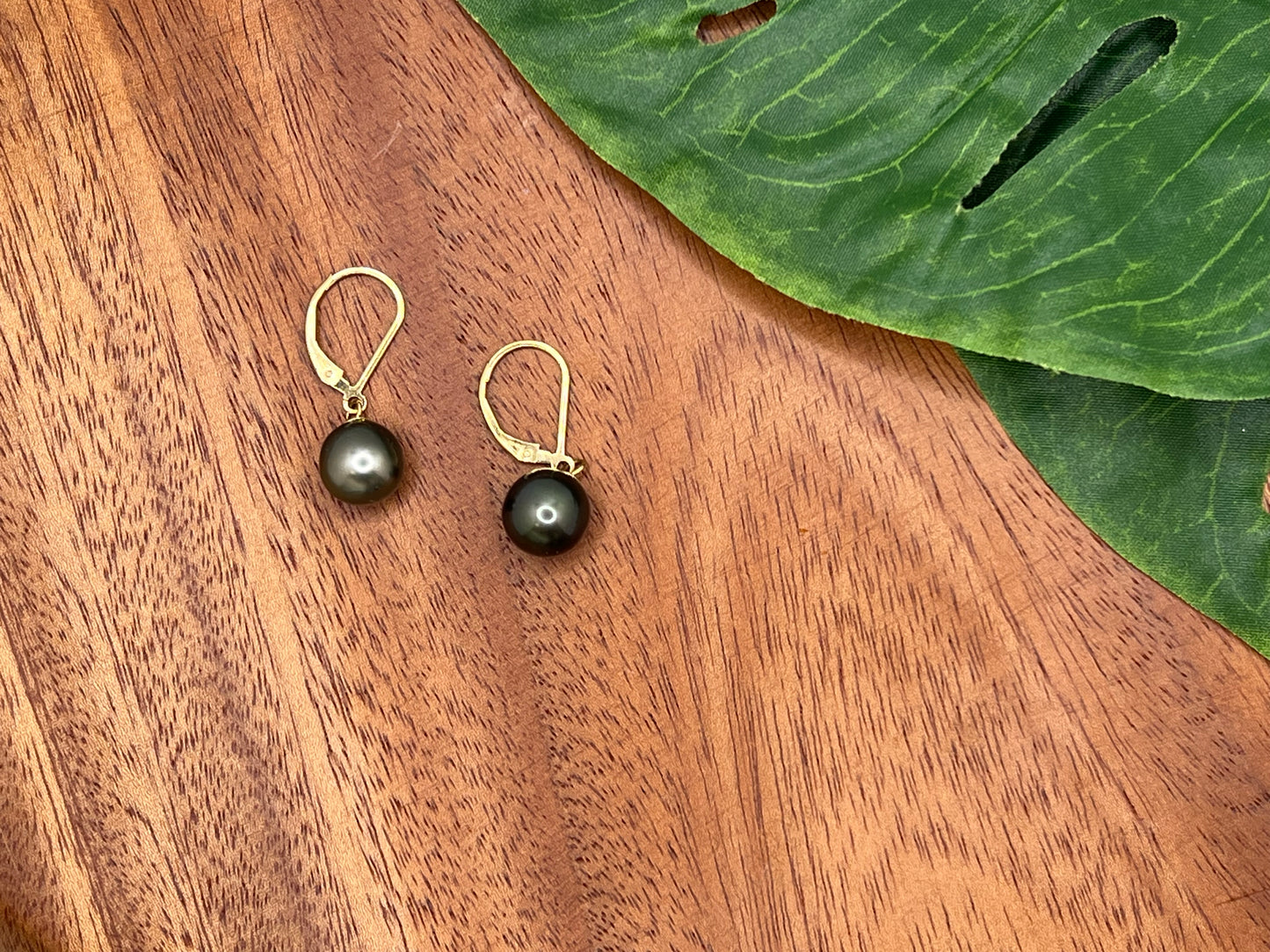 Tahitian Pearl Earrings