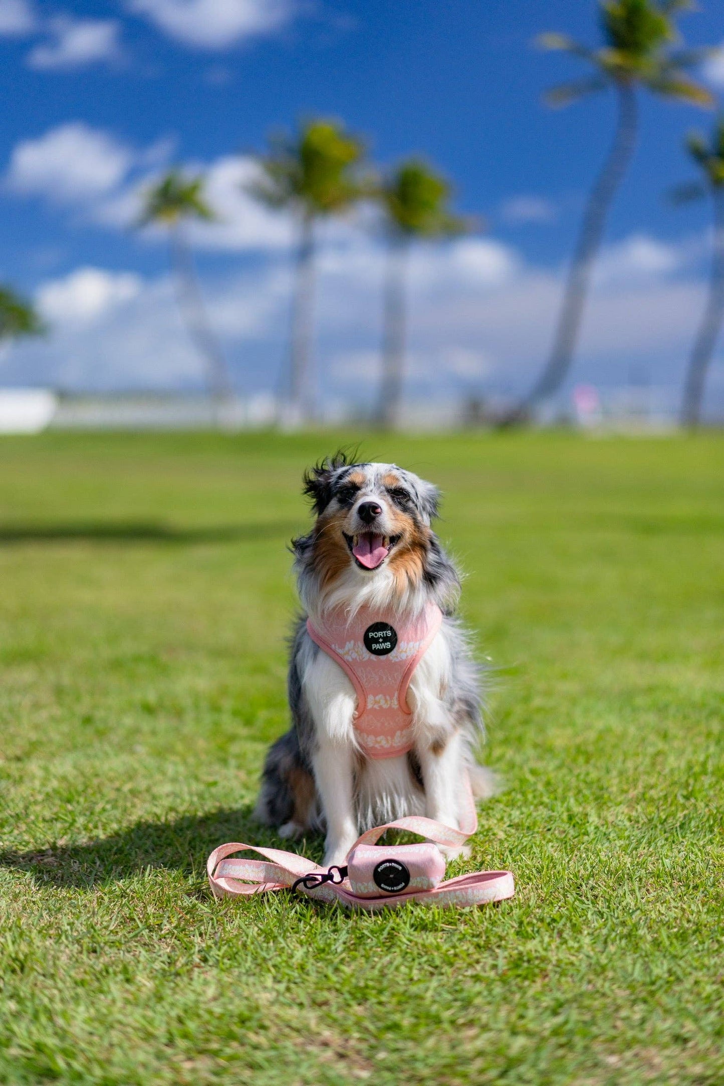 Poop Bag Holder-Plumeria