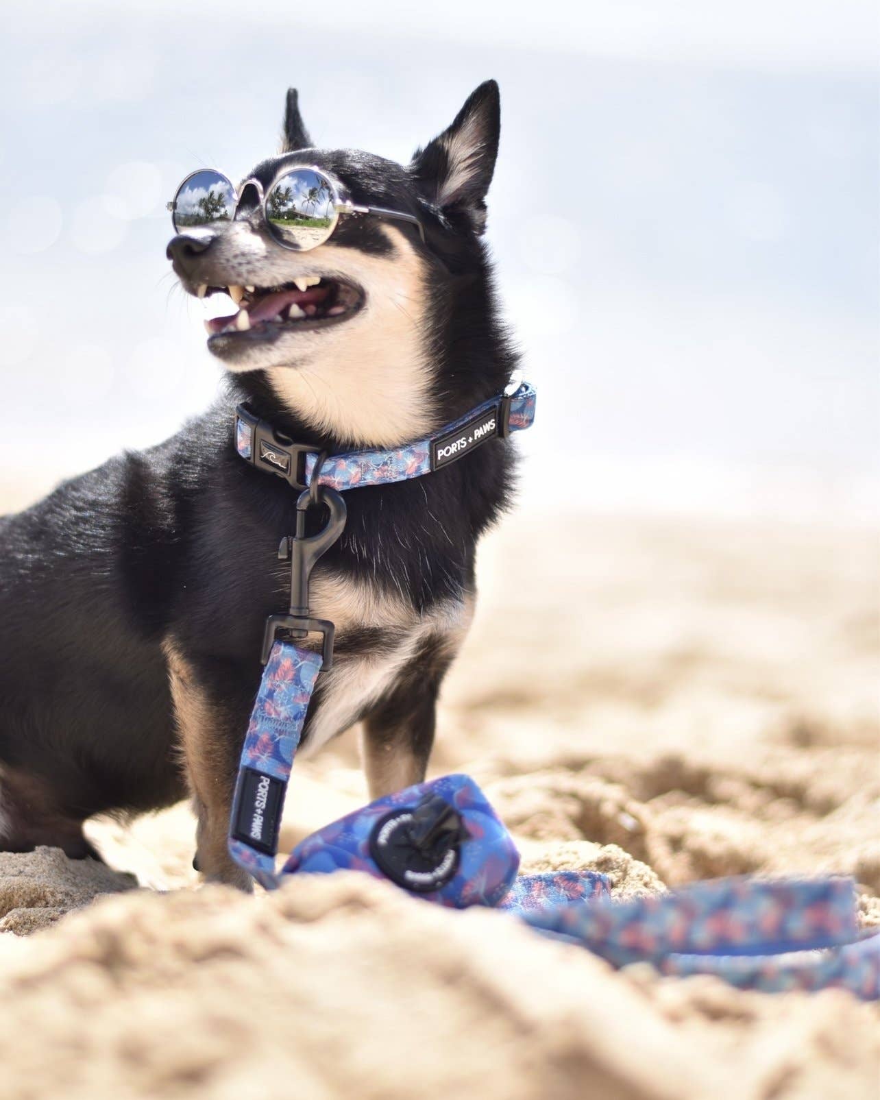 Poop Bag Holder-Porter