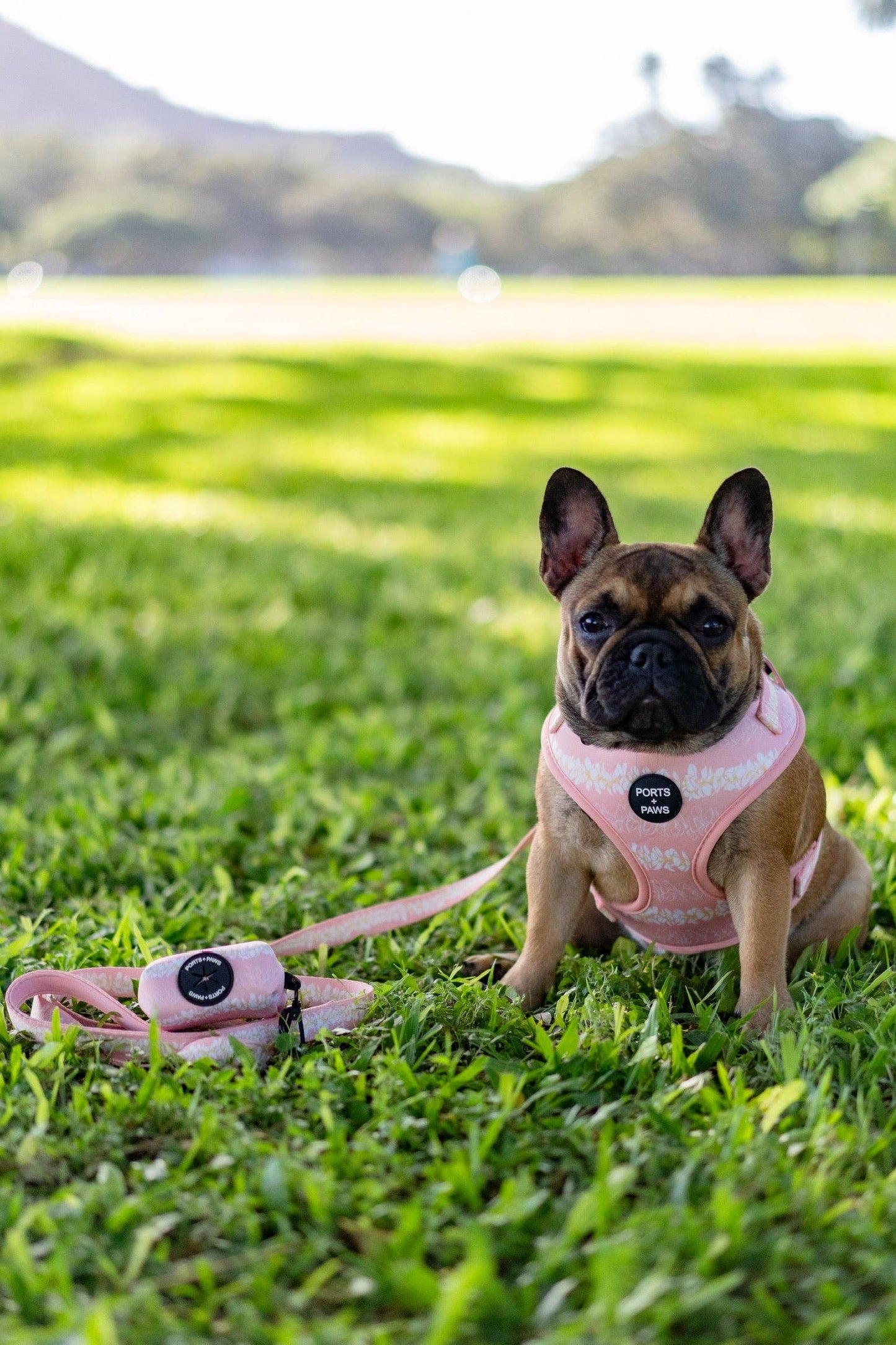 Poop Bag Holder-Plumeria