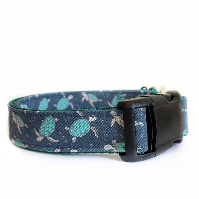 The Turtle Teal Turtle Dog Collar