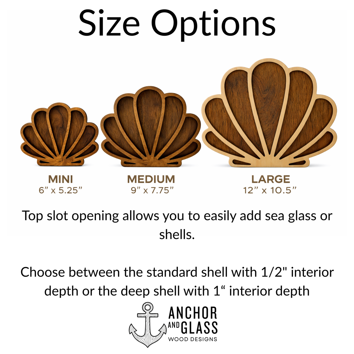 Seashell Keepsake Display