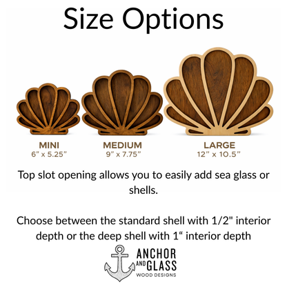 Seashell Keepsake Display