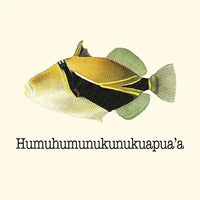 Humuhumu Coaster