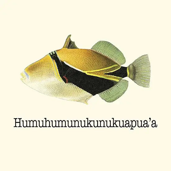 Humuhumu Coaster