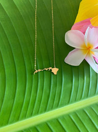 Across The Hawaiian Islands Necklace