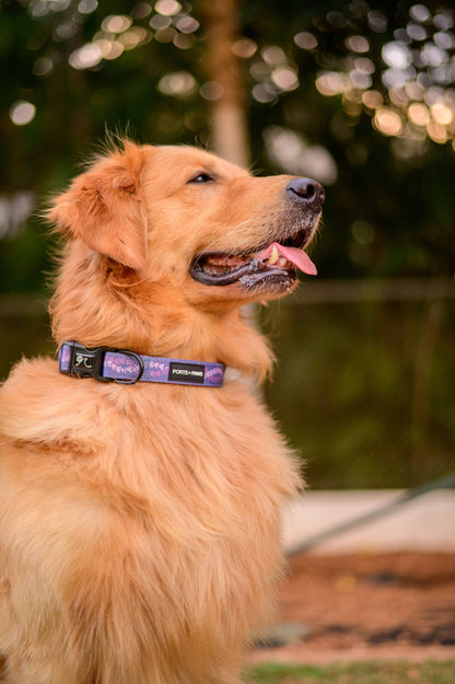 Crown Flower Lei Collar