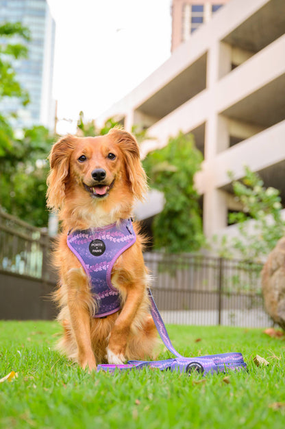 Poop Bag Holder-Crown