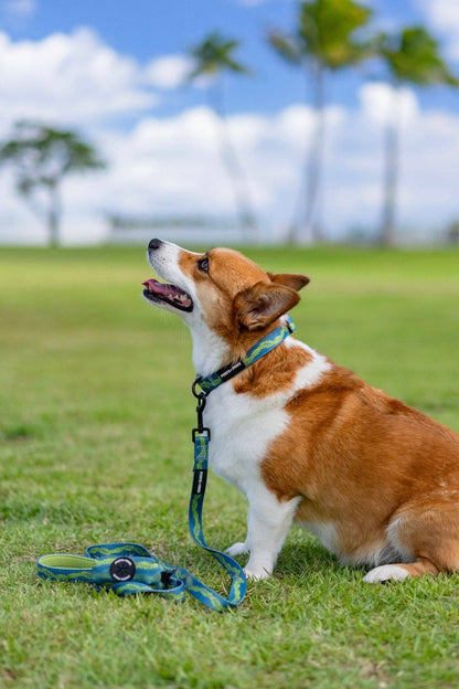 Poop Bag Holder-Pakalana