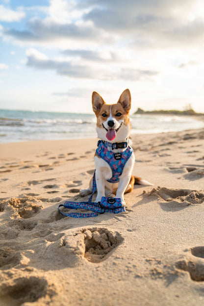 Poop Bag Holder-Porter