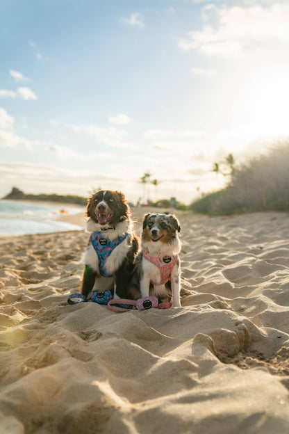 Poop Bag Holder-Porter
