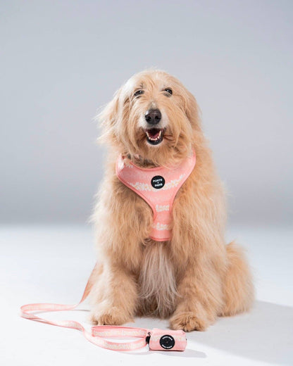 Poop Bag Holder-Plumeria