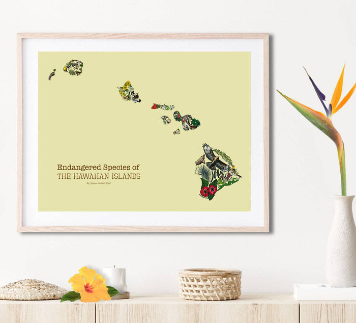 Hawaiian Islands Matted Print