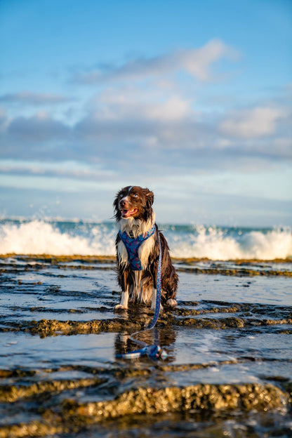 Poop Bag Holder-Porter