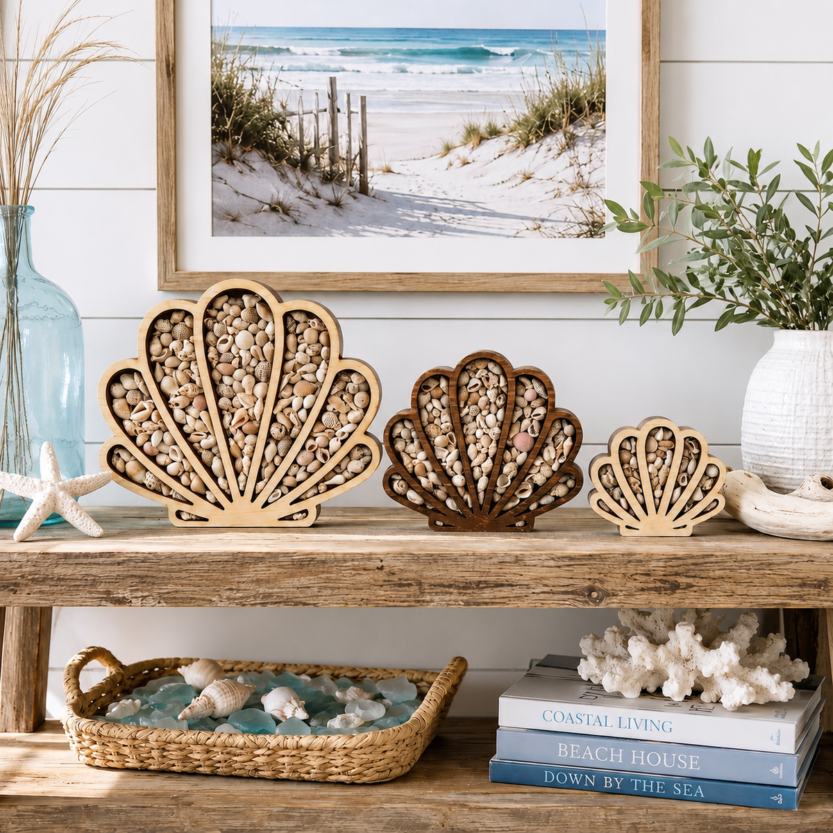 Seashell Keepsake Display