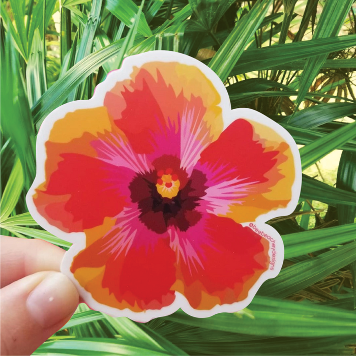 Red Hibiscus Flower