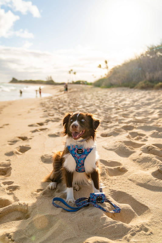 Poop Bag Holder-Porter