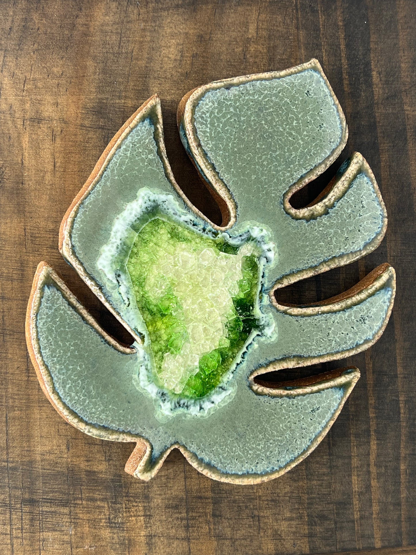 Monstera Leaf Coaster