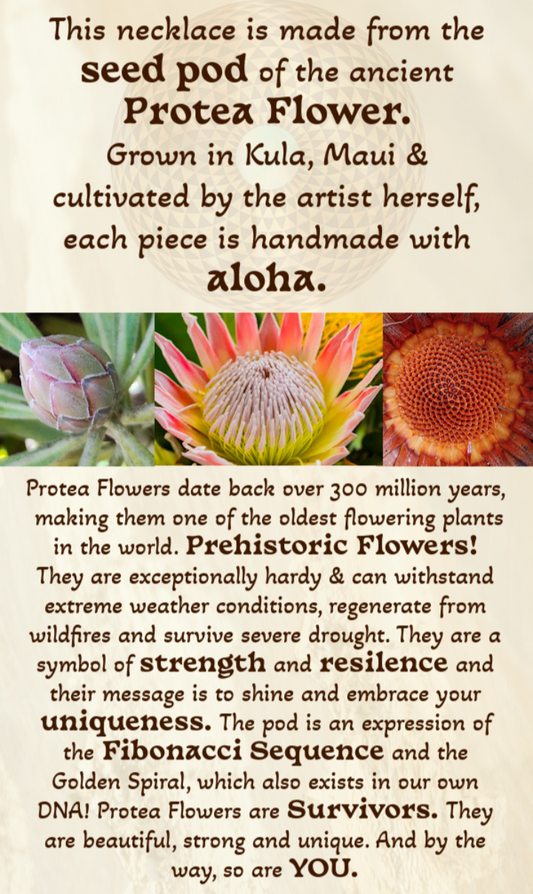 Protea Necklace-Rainbow Sacred Geometry