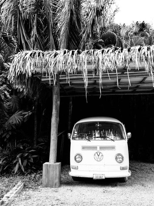 Pura Vida Bus - Black & White