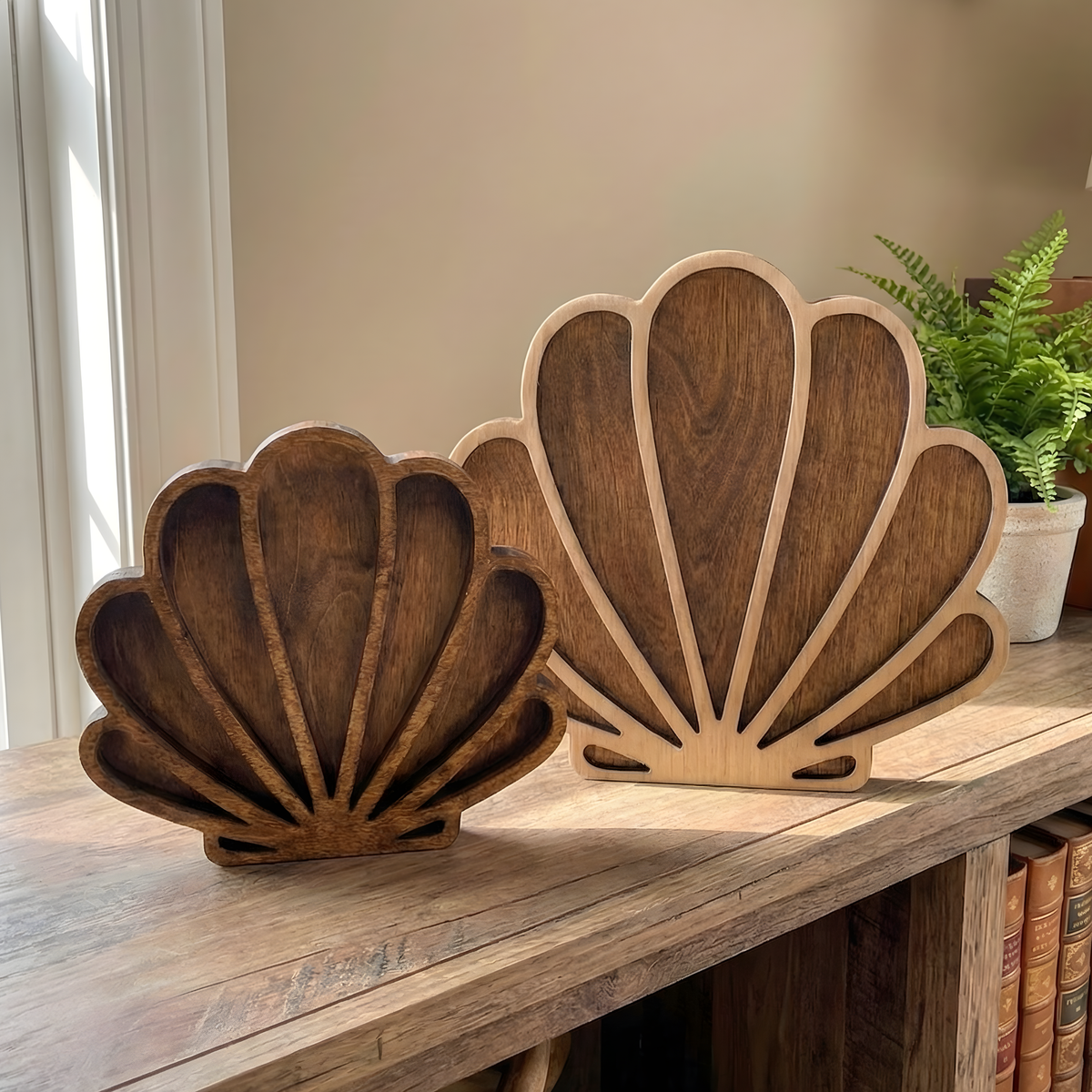 Seashell Keepsake Display