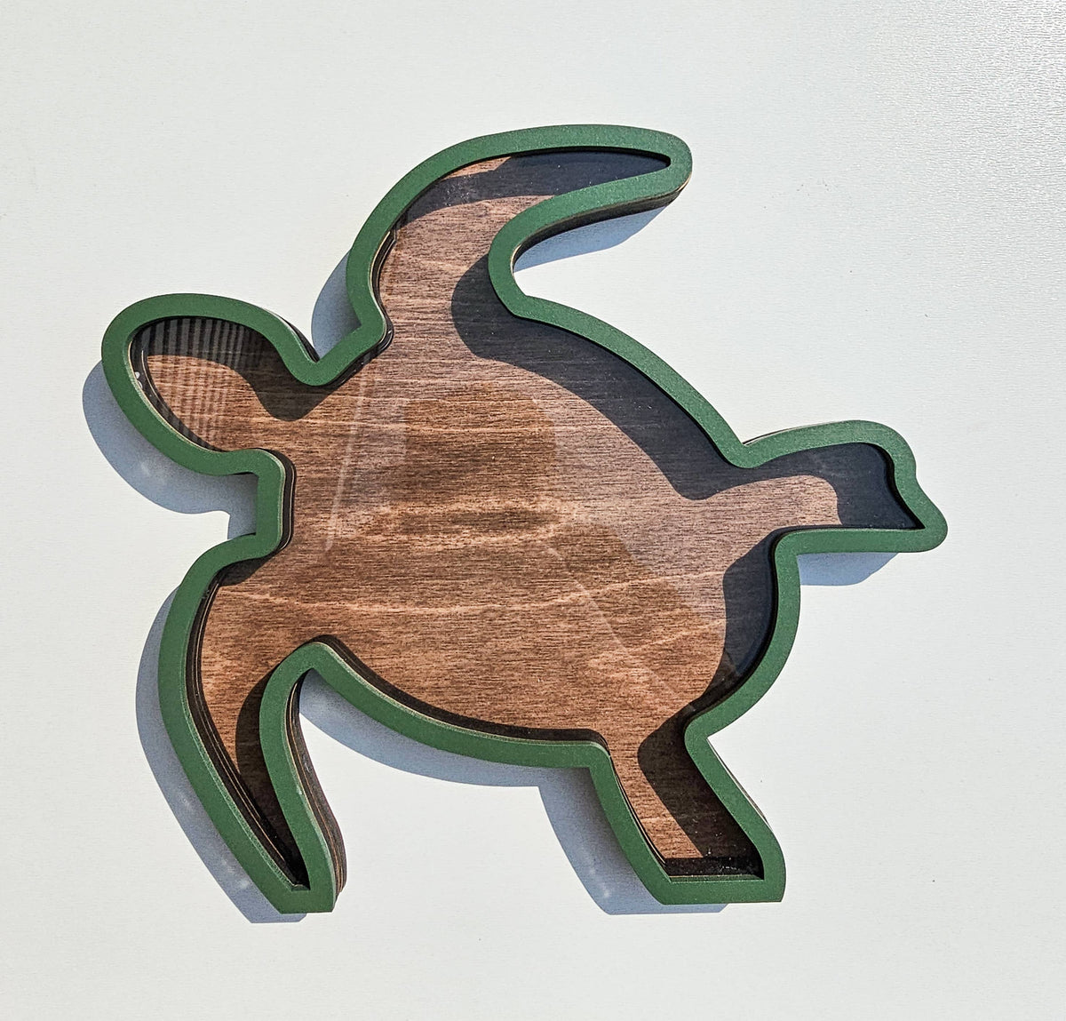 Sea Turtle Keepsake Display