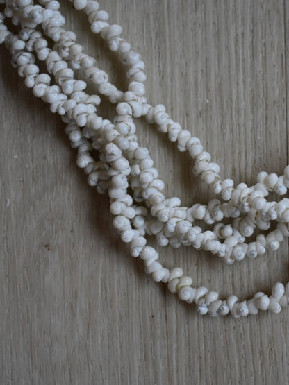 Single Hebrew Shell Five Strand Lei