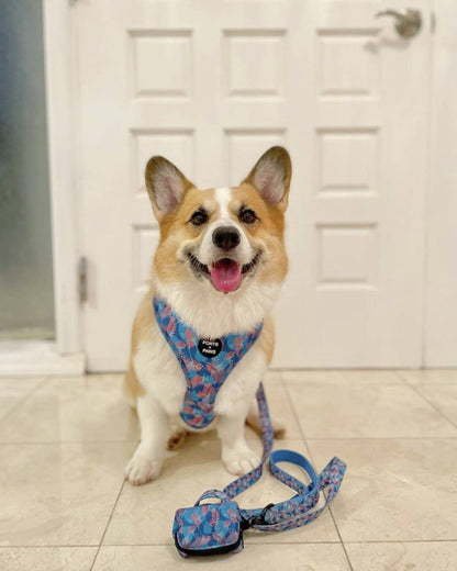 Poop Bag Holder-Porter