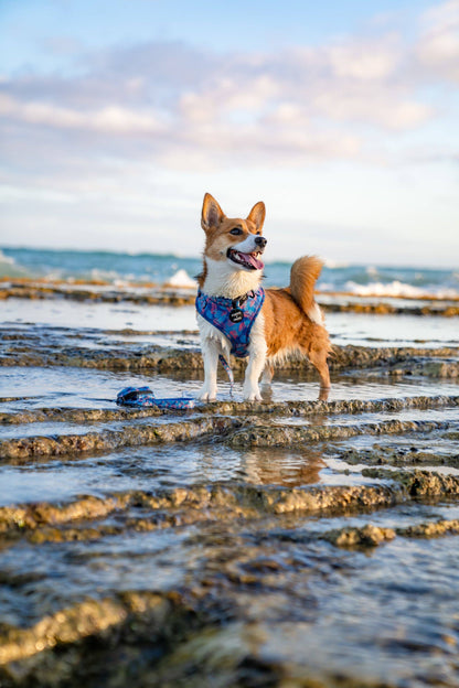 Poop Bag Holder-Porter