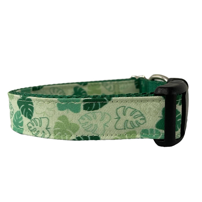 Monstera Dog Collar, Bohemian Style, Plant, Green