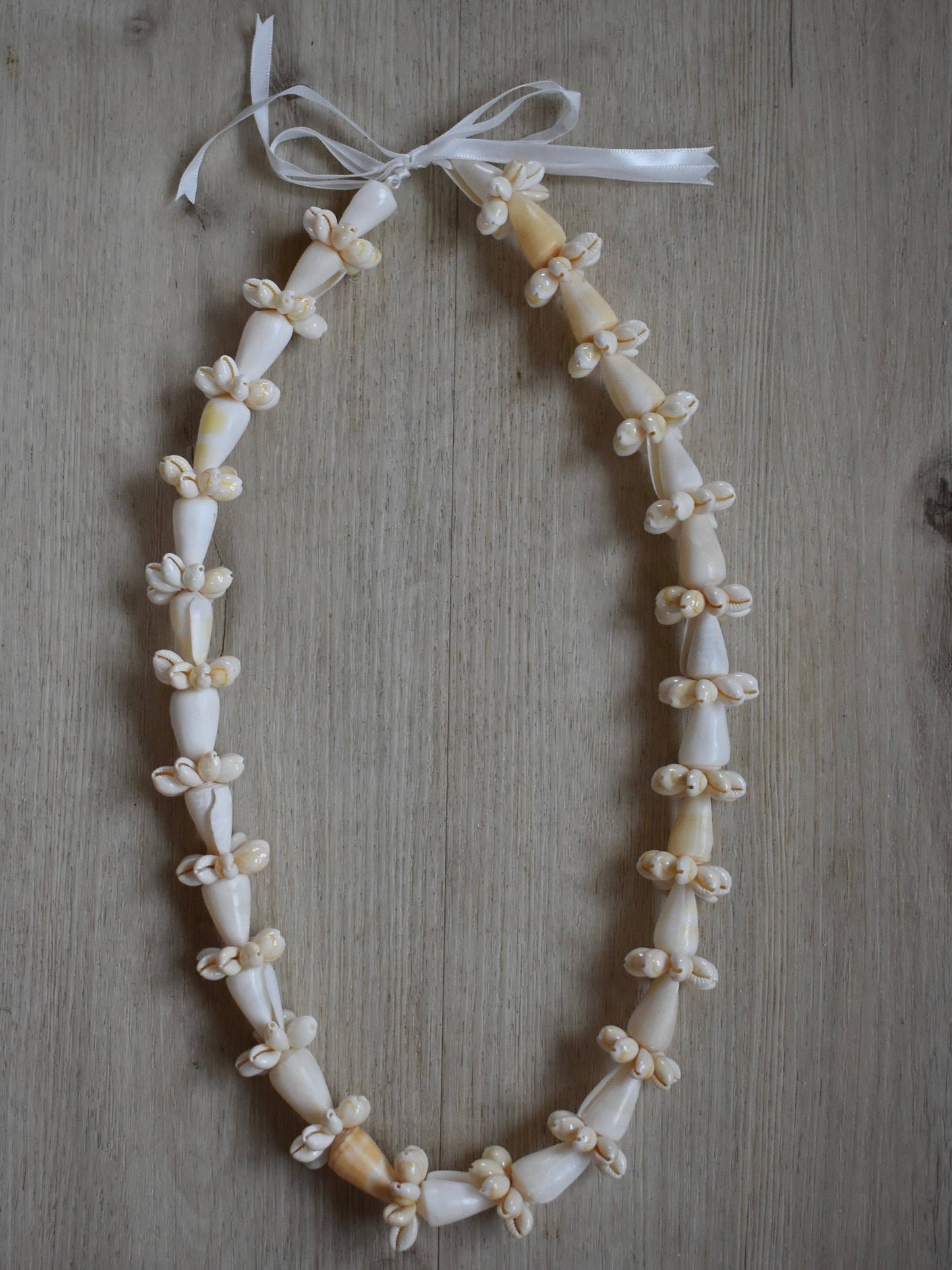 Cream Cone Shell + Cowrie Shell Lei