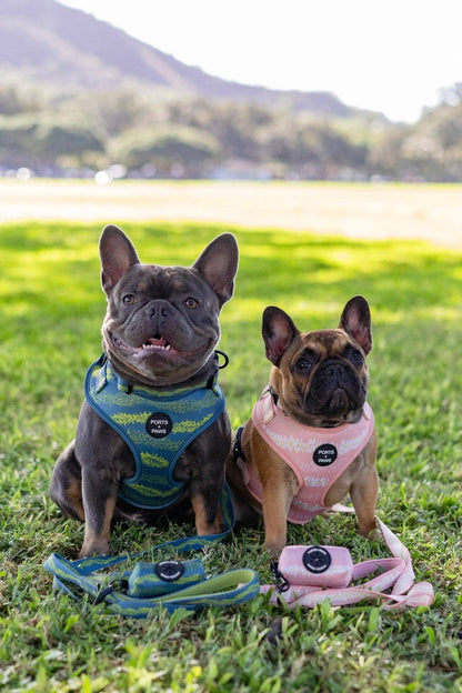 Poop Bag Holder-Plumeria