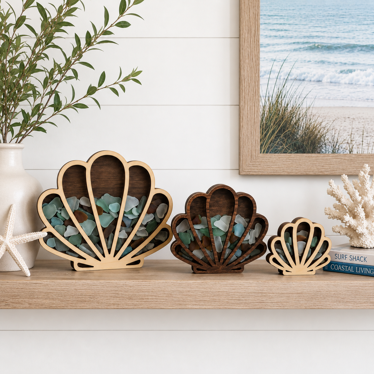 Seashell Keepsake Display