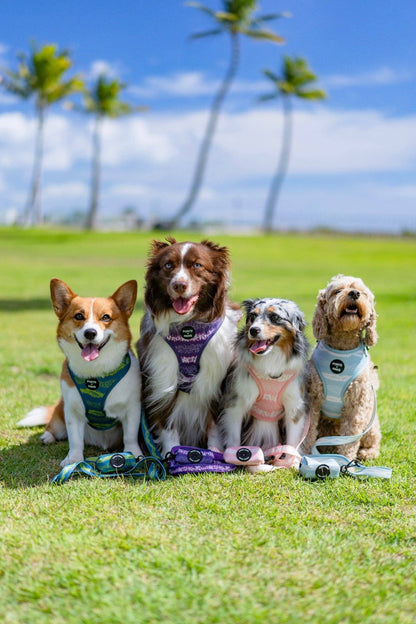 Poop Bag Holder-Pakalana