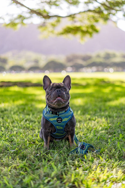 Poop Bag Holder-Pakalana