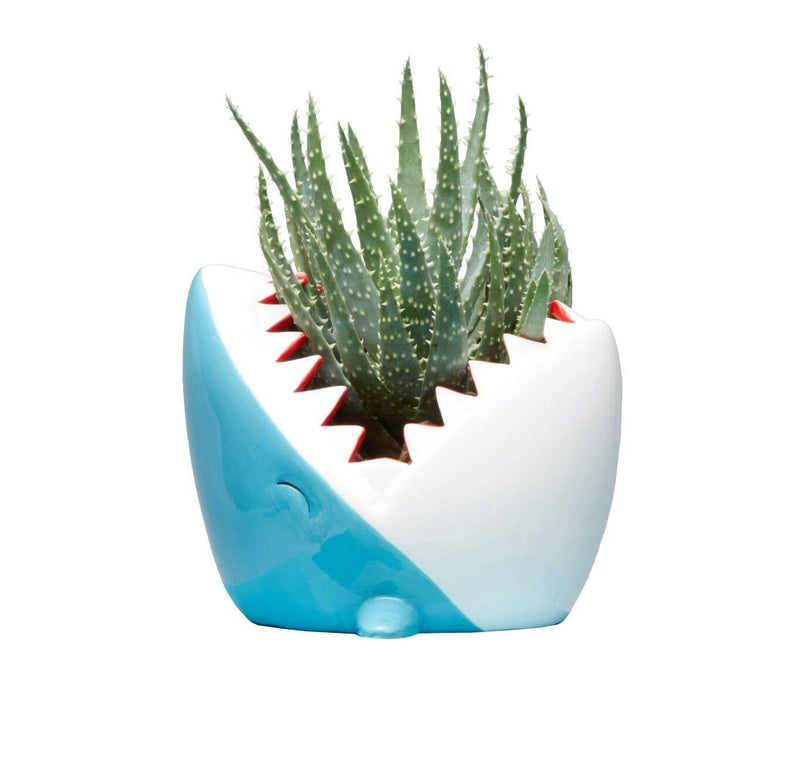 Shark Planter