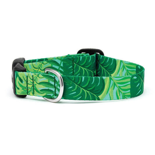 Palms Dog Collar